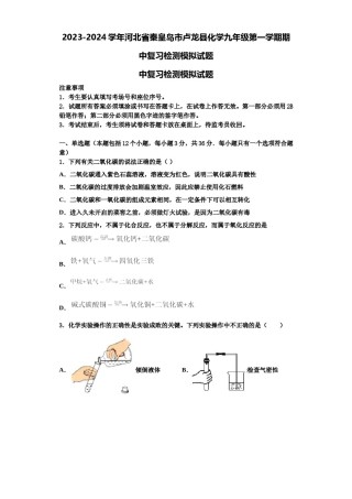 2023-2024学年河北省秦皇岛市卢龙县化学九年级第一学期期中复习检测模拟试题含解析.doc