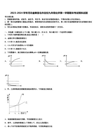 2023-2024学年河北省秦皇岛市名校九年级化学第一学期期末考试模拟试题含解析.doc