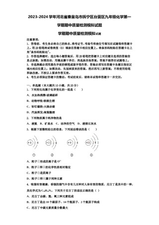 2023-2024学年河北省秦皇岛市抚宁区台营区九年级化学第一学期期中质量检测模拟试题含解析.doc