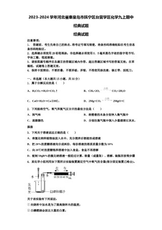 2023-2024学年河北省秦皇岛市抚宁区台营学区化学九上期中经典试题含解析.doc