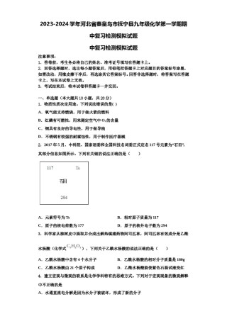2023-2024学年河北省秦皇岛市抚宁县九年级化学第一学期期中复习检测模拟试题含解析.doc