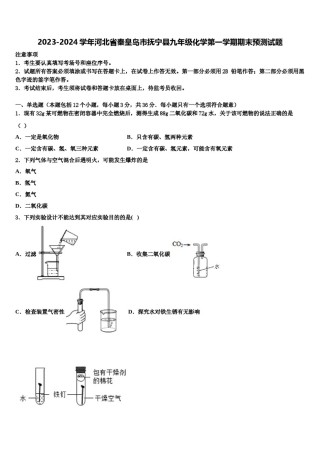 2023-2024学年河北省秦皇岛市抚宁县九年级化学第一学期期末预测试题含解析.doc