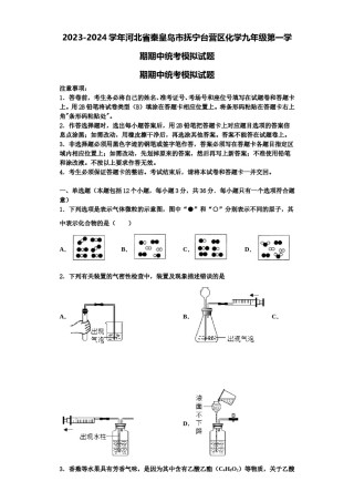 2023-2024学年河北省秦皇岛市抚宁台营区化学九年级第一学期期中统考模拟试题含解析.doc