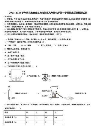 2023-2024学年河北省秦皇岛市海港区九年级化学第一学期期末质量检测试题含解析.doc