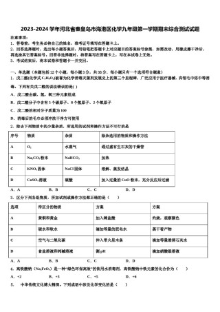 2023-2024学年河北省秦皇岛市海港区化学九年级第一学期期末综合测试试题含解析.doc