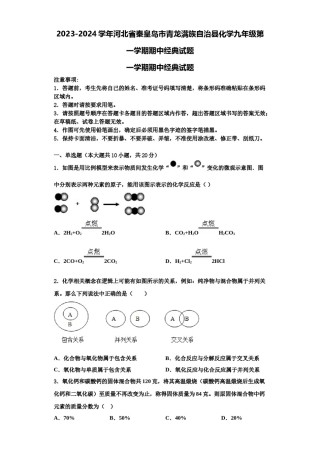 2023-2024学年河北省秦皇岛市青龙满族自治县化学九年级第一学期期中经典试题含解析.doc