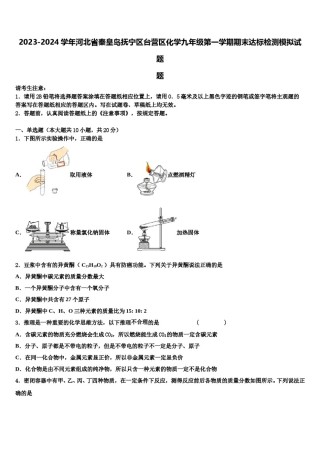 2023-2024学年河北省秦皇岛抚宁区台营区化学九年级第一学期期末达标检测模拟试题含解析.doc