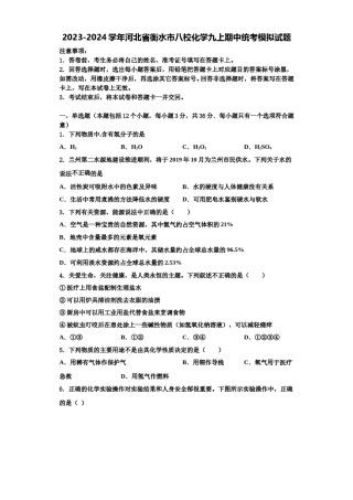 2023-2024学年河北省衡水市八校化学九上期中统考模拟试题含解析.doc