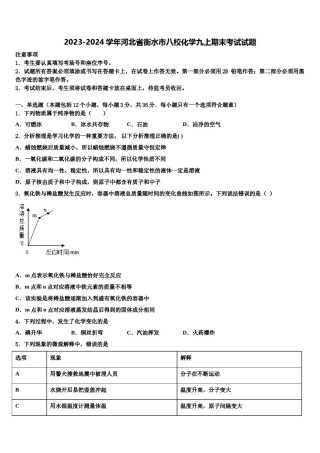 2023-2024学年河北省衡水市八校化学九上期末考试试题含解析.doc