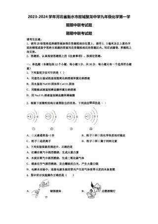 2023-2024学年河北省衡水市故城聚龙中学九年级化学第一学期期中联考试题含解析.doc
