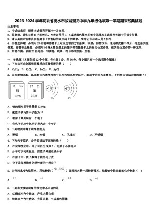 2023-2024学年河北省衡水市故城聚龙中学九年级化学第一学期期末经典试题含解析.doc