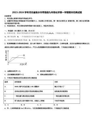 2023-2024学年河北省衡水市枣强县九年级化学第一学期期末经典试题含解析.doc