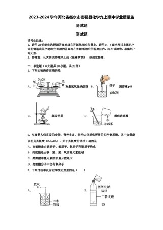 2023-2024学年河北省衡水市枣强县化学九上期中学业质量监测试题含解析.doc