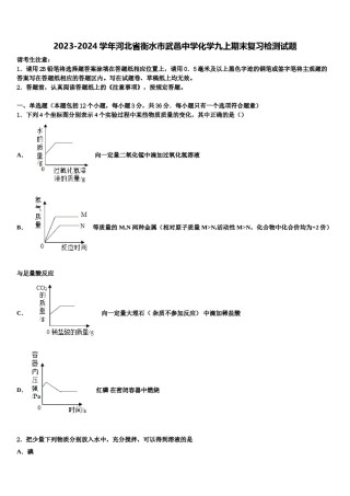 2023-2024学年河北省衡水市武邑中学化学九上期末复习检测试题含解析.doc