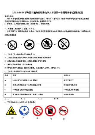 2023-2024学年河北省赵县联考化学九年级第一学期期末考试模拟试题含解析.doc