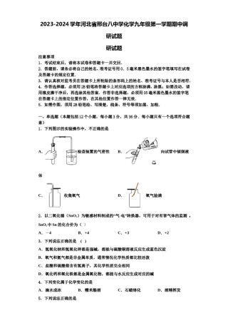 2023-2024学年河北省邢台八中学化学九年级第一学期期中调研试题含解析.doc