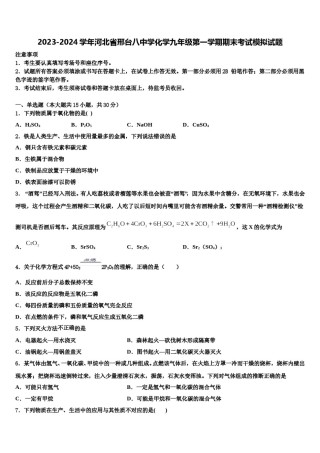 2023-2024学年河北省邢台八中学化学九年级第一学期期末考试模拟试题含解析.doc