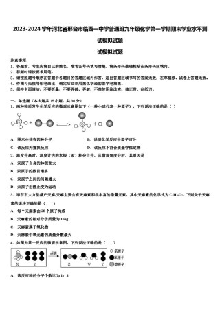2023-2024学年河北省邢台市临西一中学普通班九年级化学第一学期期末学业水平测试模拟试题含解析.doc