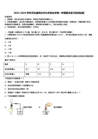 2023-2024学年河北省邢台市九年级化学第一学期期末复习检测试题含解析.doc