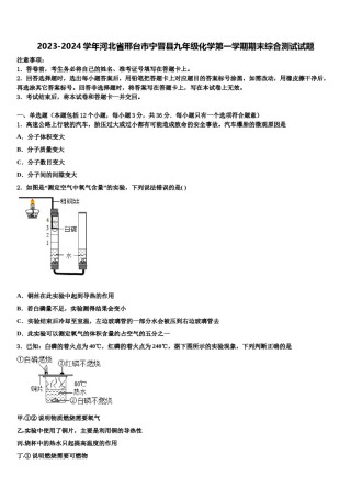 2023-2024学年河北省邢台市宁晋县九年级化学第一学期期末综合测试试题含解析.doc