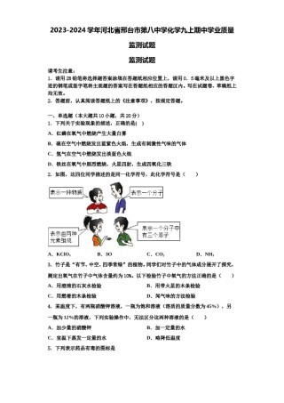 2023-2024学年河北省邢台市第八中学化学九上期中学业质量监测试题含解析.doc