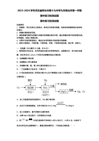 2023-2024学年河北省邢台市第十九中学九年级化学第一学期期中复习检测试题含解析.doc