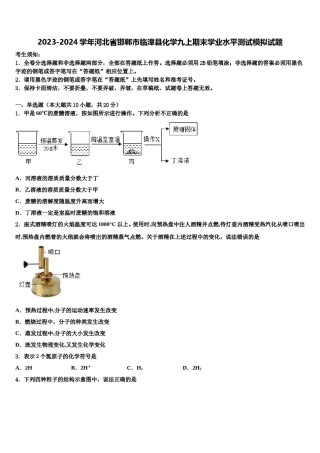 2023-2024学年河北省邯郸市临漳县化学九上期末学业水平测试模拟试题含解析.doc