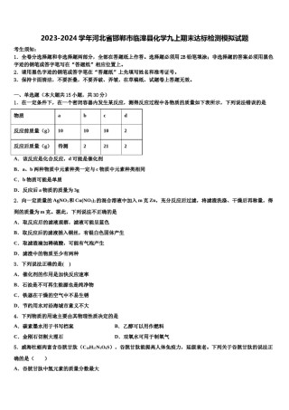 2023-2024学年河北省邯郸市临漳县化学九上期末达标检测模拟试题含解析.doc