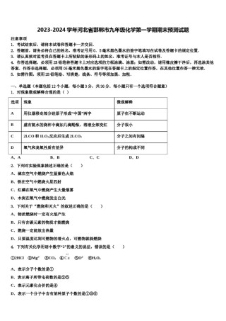 2023-2024学年河北省邯郸市九年级化学第一学期期末预测试题含解析.doc