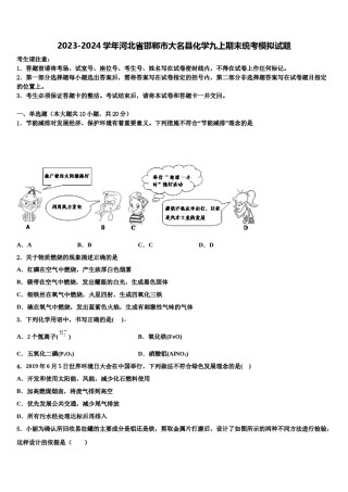 2023-2024学年河北省邯郸市大名县化学九上期末统考模拟试题含解析.doc