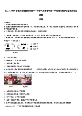 2023-2024学年河北省邯郸市第十一中学九年级化学第一学期期末教学质量检测模拟试题含解析.doc