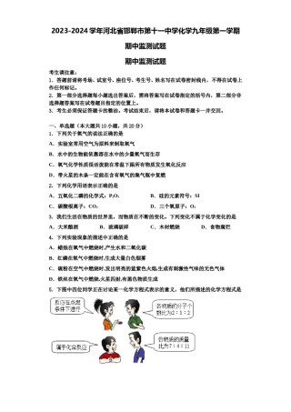 2023-2024学年河北省邯郸市第十一中学化学九年级第一学期期中监测试题含解析.doc