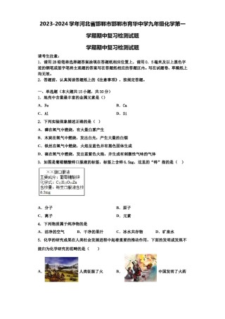 2023-2024学年河北省邯郸市邯郸市育华中学九年级化学第一学期期中复习检测试题含解析.doc