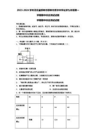 2023-2024学年河北省邯郸市邯郸市育华中学化学九年级第一学期期中综合测试试题含解析.doc