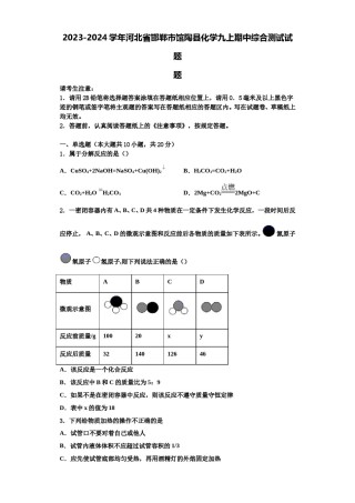 2023-2024学年河北省邯郸市馆陶县化学九上期中综合测试试题含解析.doc