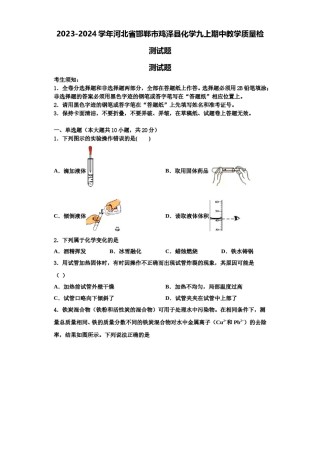 2023-2024学年河北省邯郸市鸡泽县化学九上期中教学质量检测试题含解析.doc