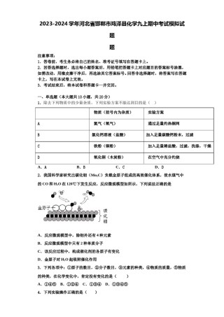 2023-2024学年河北省邯郸市鸡泽县化学九上期中考试模拟试题含解析.doc