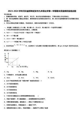 2023-2024学年河北省邯郸武安市九年级化学第一学期期末质量跟踪监视试题含解析.doc