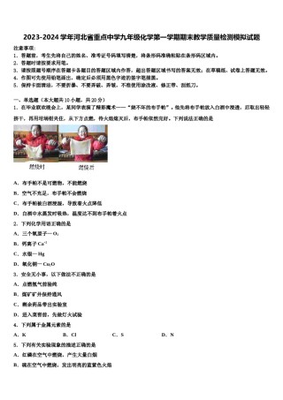2023-2024学年河北省重点中学九年级化学第一学期期末教学质量检测模拟试题含解析.doc