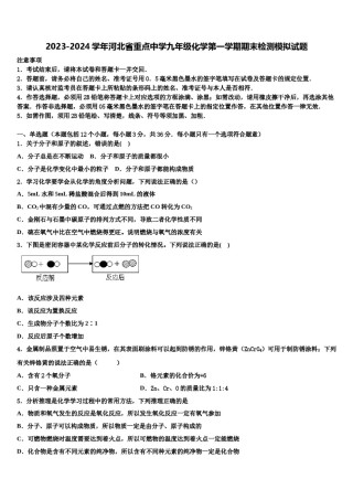 2023-2024学年河北省重点中学九年级化学第一学期期末检测模拟试题含解析.doc