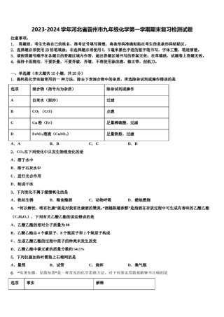 2023-2024学年河北省霸州市九年级化学第一学期期末复习检测试题含解析.doc