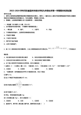 2023-2024学年河北省霸州市部分学校九年级化学第一学期期末检测试题含解析.doc