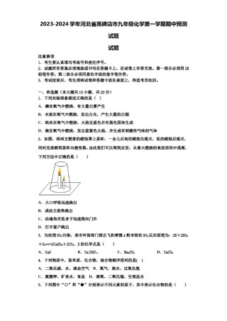 2023-2024学年河北省高碑店市九年级化学第一学期期中预测试题含解析.doc