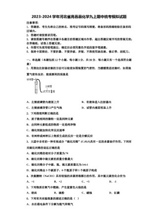 2023-2024学年河北省高邑县化学九上期中统考模拟试题含解析.doc