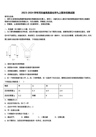 2023-2024学年河北省高邑县化学九上期末经典试题含解析.doc