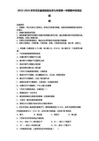 2023-2024学年河北省高阳县化学九年级第一学期期中检测试题含解析.doc