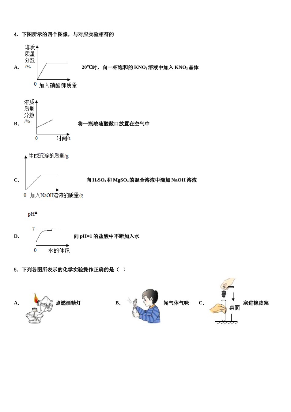 2023-2024学年河北省高阳县联考化学九上期末复习检测试题含解析.doc_第2页