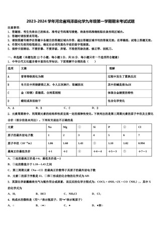 2023-2024学年河北省鸡泽县化学九年级第一学期期末考试试题含解析.doc