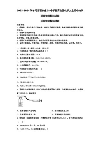 2023-2024学年河北石家庄28中学教育集团化学九上期中教学质量检测模拟试题含解析.doc