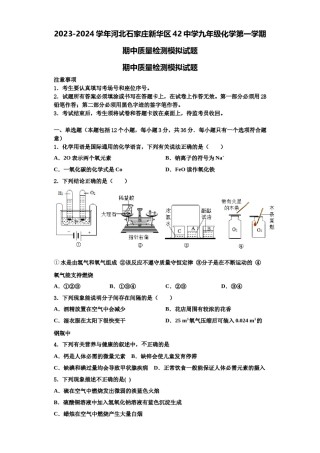 2023-2024学年河北石家庄新华区42中学九年级化学第一学期期中质量检测模拟试题含解析.doc